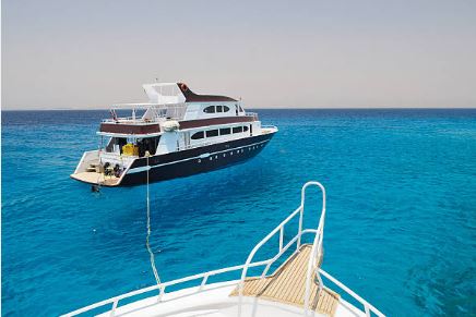 The Diamond of Dubai Marina Dhow Cruise Image